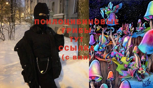 2c-b Баксан
