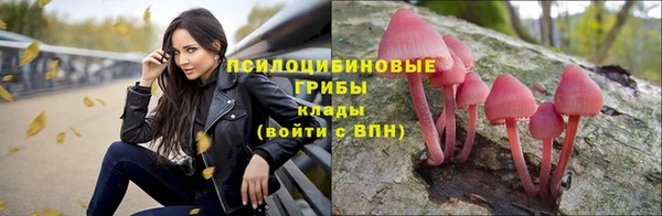 2c-b Баксан
